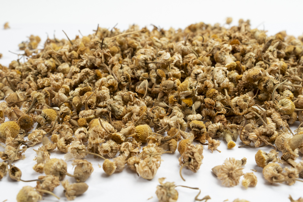 Chamomile
